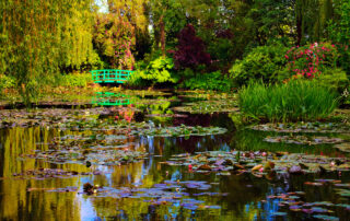 Giverny, water garden