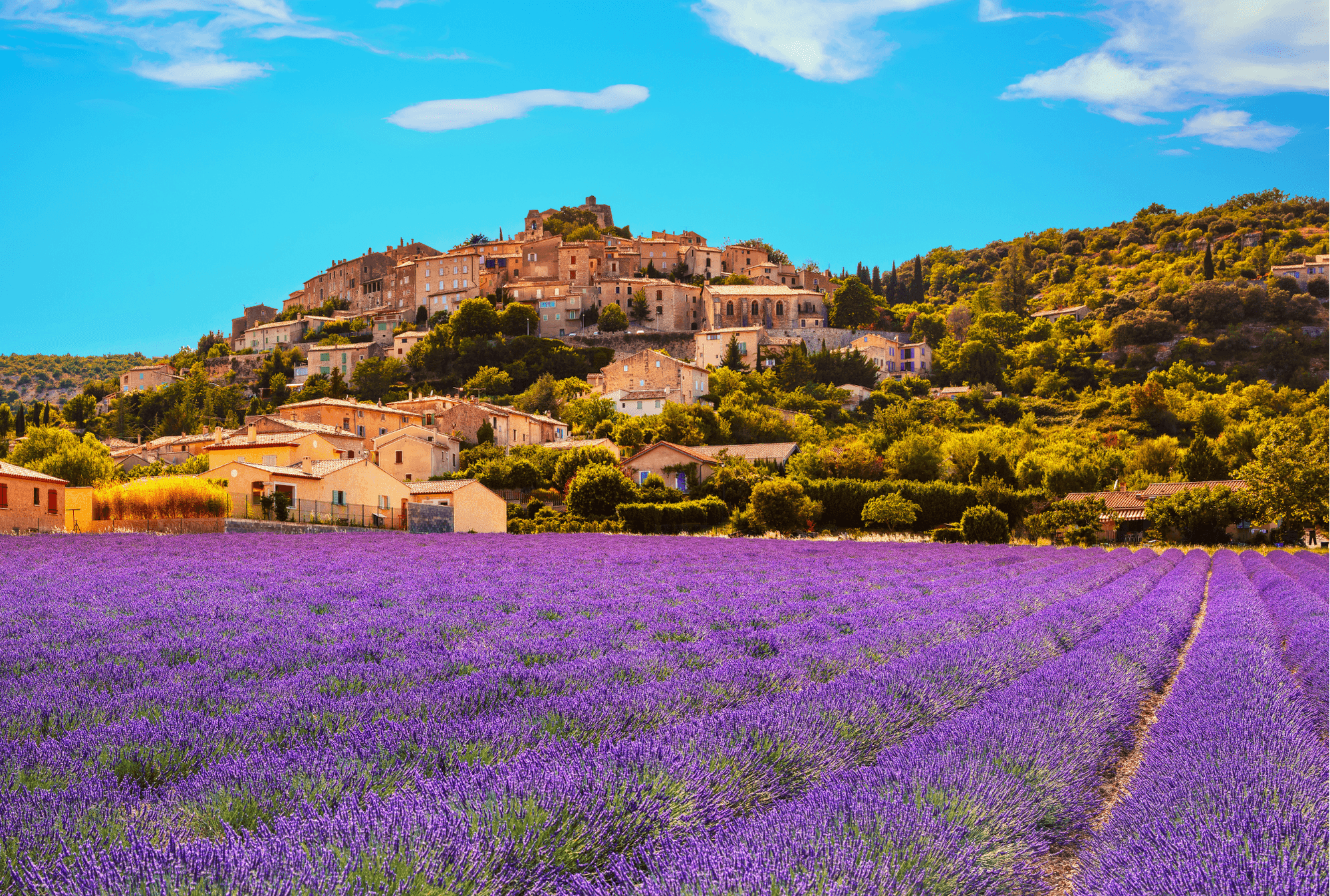 Voyage Privé en Provence – Gastronomie & Villages Authentiques
